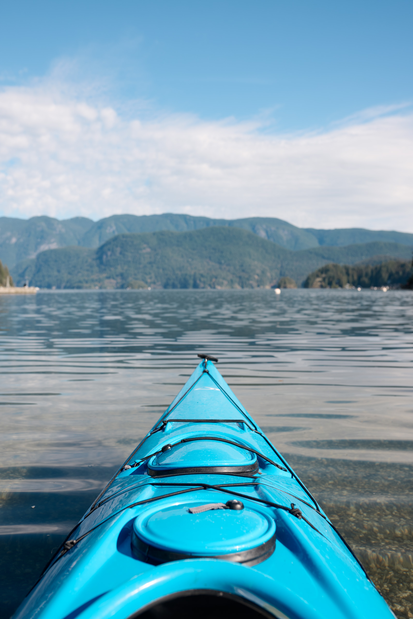 Paddle out on the Cove.