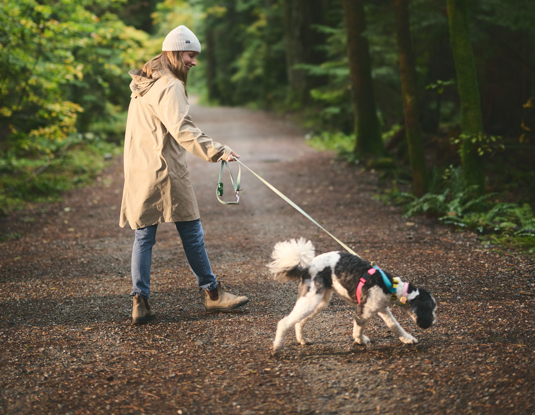 Dog walks along the Seymour River.
