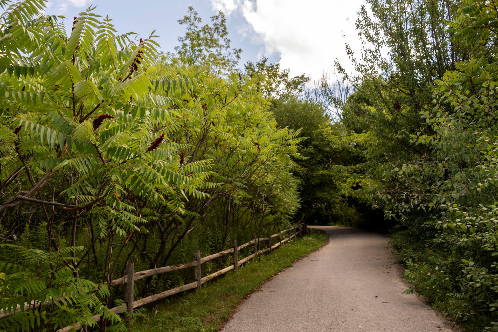 Rosedale Resevoir